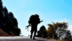 Biri gri kategoride aranan PKK'lı 2 terörist, Silopi'de teslim oldu