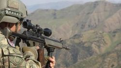 2 PKK'lı daha dağdan inip teslim oldu