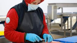 Rize'de gelişen balık ihracatı istihdamı artırıyor