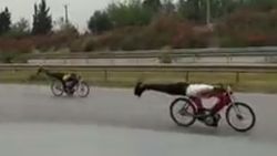 Hatay'da motosikletlerin üzerine yatarak yarıştılar