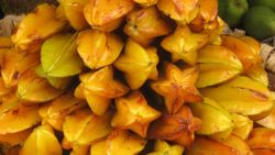 Karambola nedir