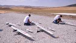 Artificial intelligence support for herd UAVs