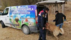 Yozgat'ta, bahisle köpek dövüştüren 8 kişi gözaltına alındı
