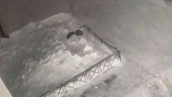 Rusya'da çocuğun 4. kattan düşme anı