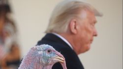 Trump, iki hindiyi affetti