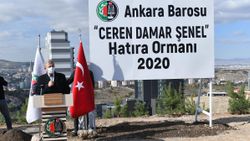 Ankara'da Ceren'in adı, hatıra ormanında yaşayacak
