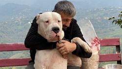 YouTuber Recep Bayraktar'ın köpeklerine el konuldu