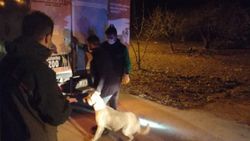 Gaziantep'te köpek dövüştüren 4 kişi gözaltına alındı