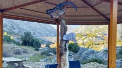 Kaçak avladıkları yaban keçisinin derisini yüzüp, not bırakarak ipe astılar