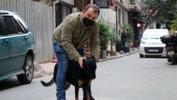 Beyoğlu'nda köpeğin çalınan telefonu kurtarma anı