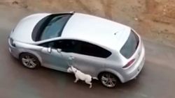 Antalya'da, köpeğini aracıyla sürükleyen sürücü