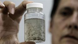 Zika virüsü nedir