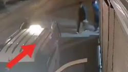 Gaziantep'te bal ve zeytinyağı hırsızlarının rahat tavırları