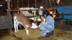 Erzincan'da 12 yaşındaki kız, harçlıklarıyla çiftçiliğe atıldı