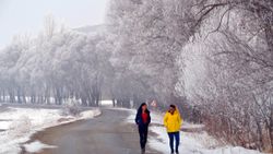 Muş'ta kırağı, güzel kareler oluşturdu