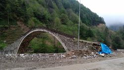 Rize'de köprü tartışması tatlıya bağlandı