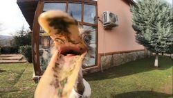 Kocaeli'de poğaça hırsızı kameraya yakalandı