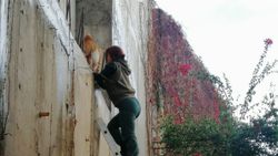 Muğla'da vücuduna demir çubuk saplanan kedi kurtarıldı