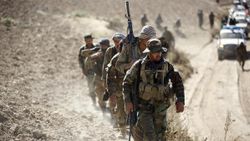 Militan nedir