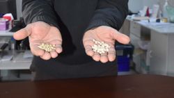 İzmir'de gıda sahtekarları, çam fıstığı diye yer fıstığı satıyor