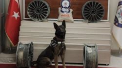 Van'da narkotik köpeği uyuşturucuya geçit vermiyor