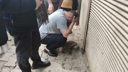 Giresun'da kedisi telef olan ev sahibi uzun süre ağladı