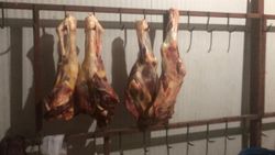 Malatya'da yem fabrikasında ruhsatsız et üretimine baskın