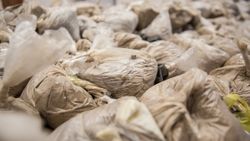 Bulgaristan’da yük gemisinde 401 kilogram uyuşturucu bulundu