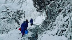 Trabzon'da aşıya giden sağlıkçıların karla mücadelesi