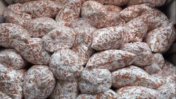 Adana’da kaçak üretim yapan makaron fabrikasına operasyon