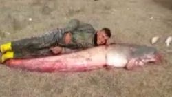 Seyhan Baraj Gölü'nde dev yayın balığı yakalandı
