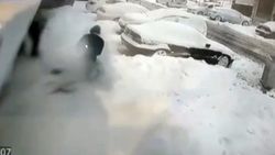 Ataşehir'de pitbull saldırısı kamerada