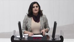 HDP'li Taşdemir'i Gara'da gören teröristin ifadesi