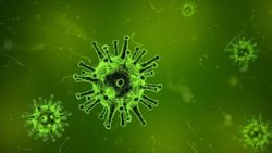 Bilim insanları: Nipah koronadan daha ölümcül ve tehlikeli