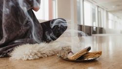 Palo Santo nedir, nasıl yakılır? Palo Santo tütsü faydaları nelerdir?