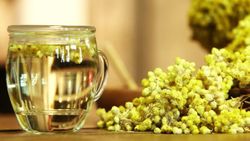 Tilya kürü nedir, nasıl yapılır? Tilya kürü zayıflatır mı, kaç gün yapılmalı?