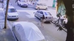 Çin'de ağacın altında kalmaktan koşarak kurtulan kadın