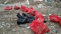 Ankara'da boş arazide 20 ölü köpek bulundu