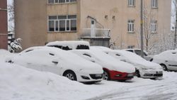 Bitlis’te yağan mart karı, 25 köye ulaşımı engelledi