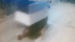 Esenyurt'ta kamyonet sürücüsü, köpeği ezip kaçtı