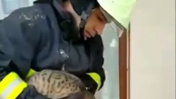 Denizli'de konserve kutusuna sıkışan kedi 