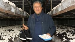 Kocaeli'de futbol kariyerini bırakıp dev mantar tesisi kurdu