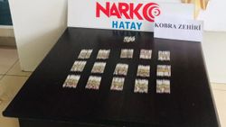 Hatay’da 156 tüp kobra zehri ele geçirildi
