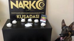 Aydın'ın narkotik köpeği 'Honaz' olay yerinde uyuşturucu buldu