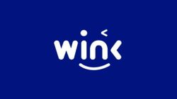 WIN Coin nedir? Kripto para WINk hakkında merak edilenler..