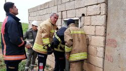 Mardin'de elektrik akımına kapılan genç öldü