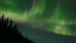 Alaska'da Kuzey Işıkları'nın büyüleyici dansı