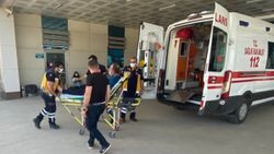 Düzce'de arıların saldırısına uğrayan adam hastanelik oldu