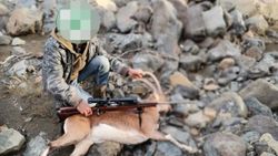 Denizli'de dağ keçisi avlayan 6 kişiye ceza