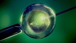 mRNA tekniği kısırlığa çözüm olabilir